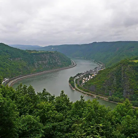 Waldeiche-rheinblick * Holzfeld